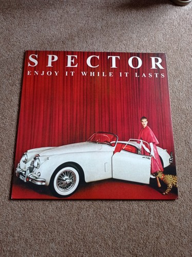 Spector enjoy it while - while,