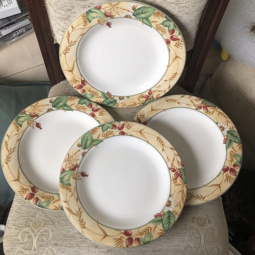Royal doulton expressions - x,
