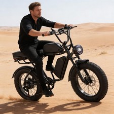 Electric Bike Adults 20 X4.0