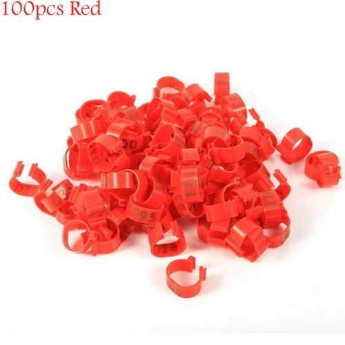 100pcs bird rings leg - 100pcs,