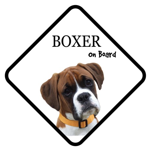 Boxer board car - on,