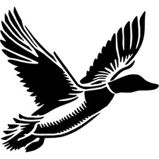 'Flying Duck' Stencils /