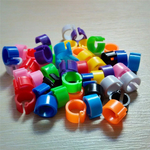 30pcs bird rings - bands, for