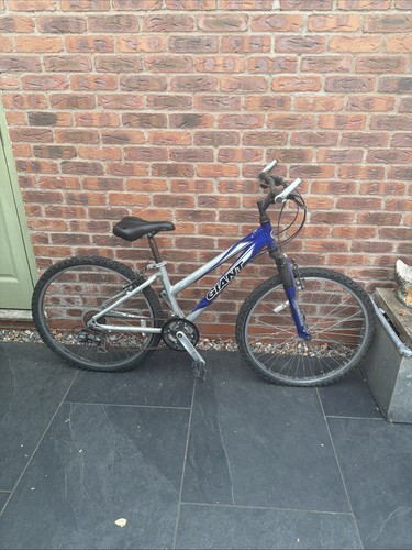 Giant rock mountain bike - giant,