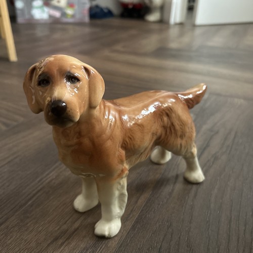 Golden retriever ornament - retriever,