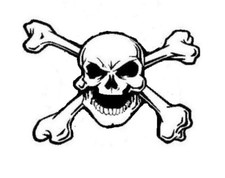 LARGE skull bones car camper