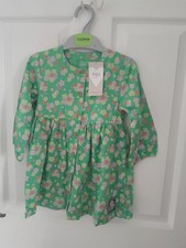 Baby Girls Green floral dress