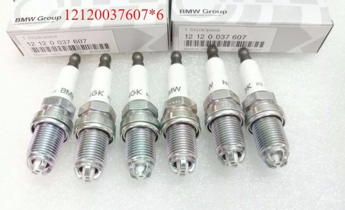 Ngk spark plugs - (6x), high