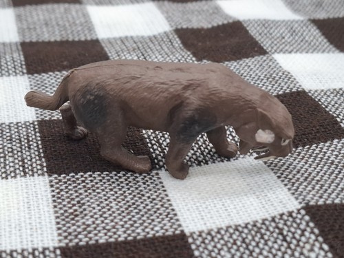 Sabre tooth tiger - sabre,