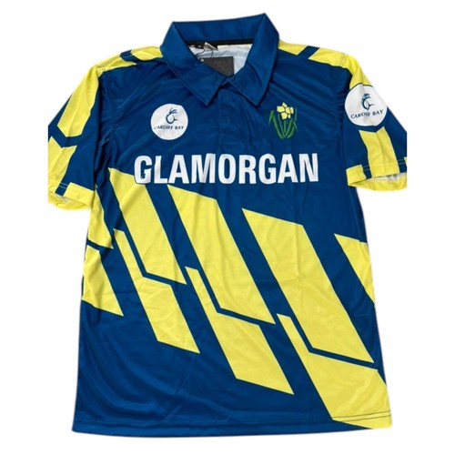 Glamorgan cricket shirt men - glamorgan, men's