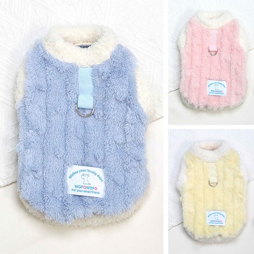 Pet dog winter warm - winter,