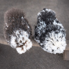 Silkie Hatching Eggs –