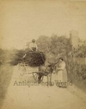 Italy peasants with donkey
