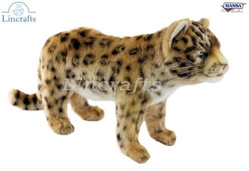Hansa amur leopard - hansa, cub