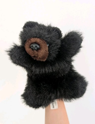Country critters grizzly bear - critters,