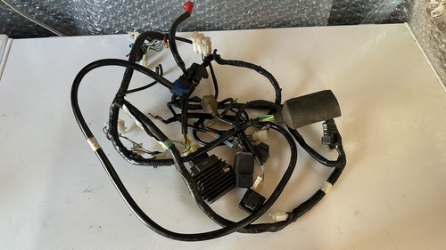 Honda cbr125 wiring - loom, 04-06