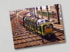 Fridge Magnet Class 55 BR