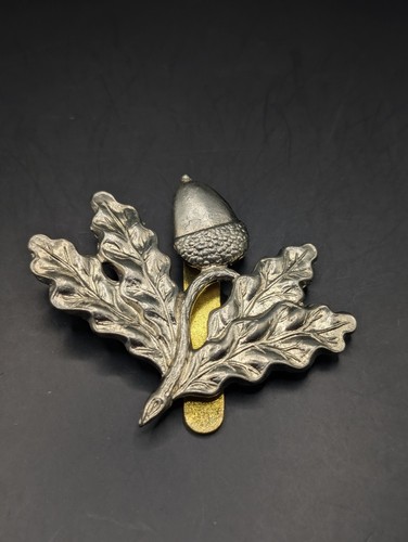 South nottinghamshire hussars - south,