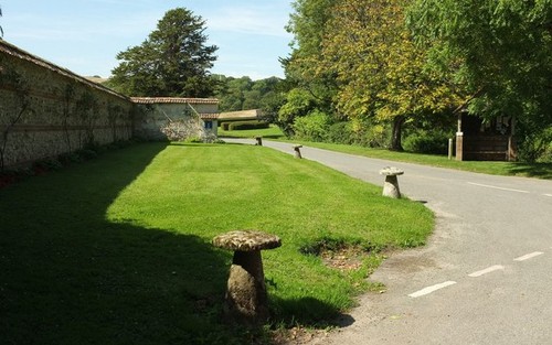 Photo 12x8 green cerne - up,