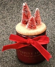 NEW Next Festive Spice Mini