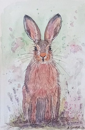 March hare original - ,march,