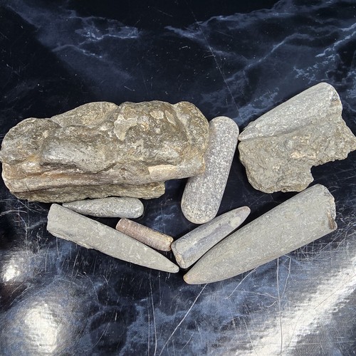 Genuine jurassic belemnite - jurassic,