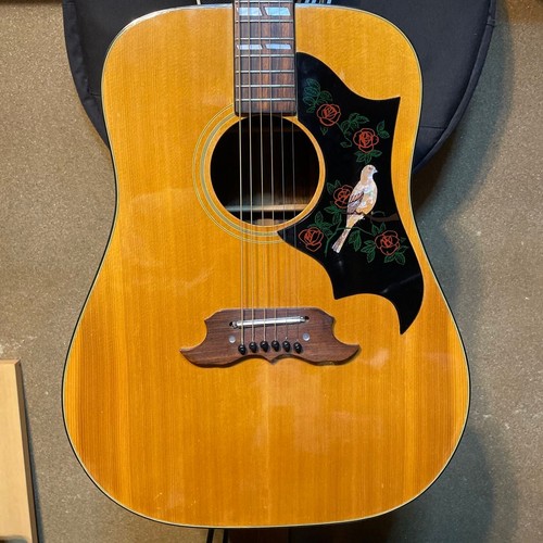 Pearl dove acoustic guitar - acoustic,
