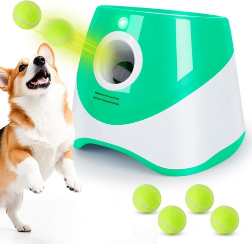Dog automatic ball launcher - dog,