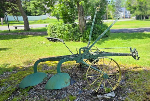 Antique horse drawn john - horse,