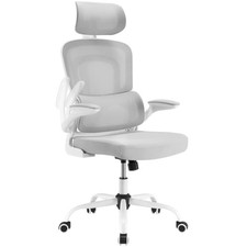 Farini Ergonomic Office Desk