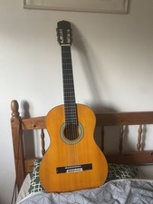 Aria Acoustic Guitar AK-20