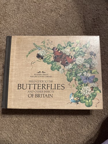 Field guide butterflies - guide,