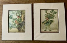 2010 FLOWER FAIRIES MOUNTED