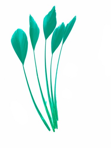 Long fascinators feathers - long,