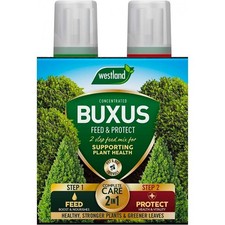Westland Buxus Feed & Protect