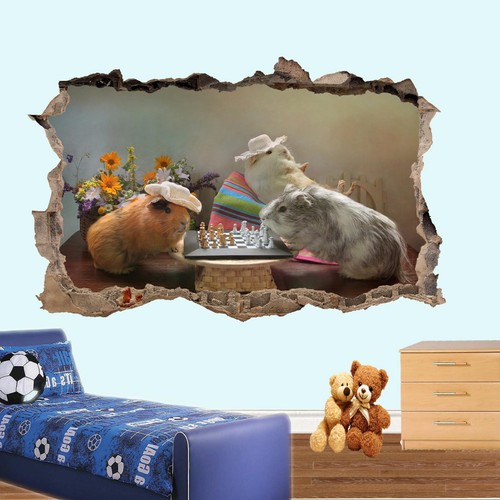 Chess playing guinea pigs - guinea,