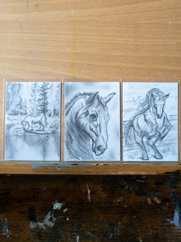 Horse pencil drawings set - pencil,