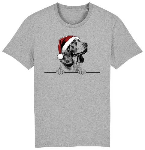 Welsh springer spaniel - welsh,
