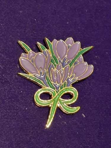Purple crocus with green - purple,