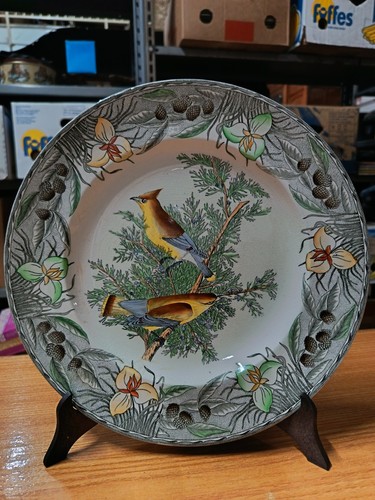 The birds america cedar - birds,