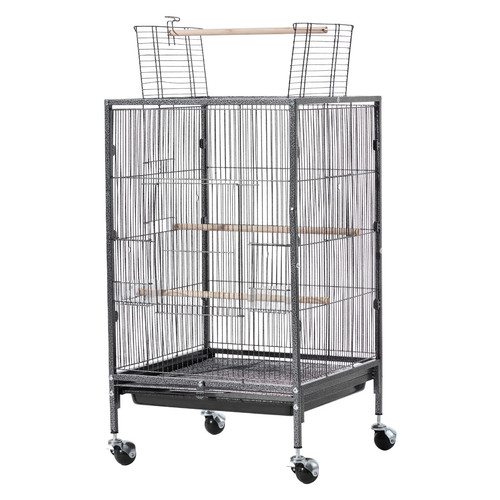 Open top rolling parrot - rolling,