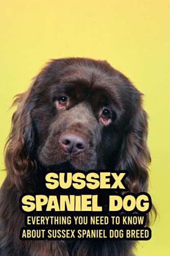 Sussex spaniel dog everything - dog:,