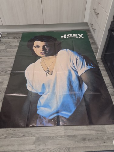 Joey lawrence poster - joey,