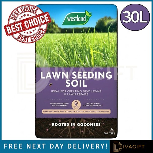 Westland lawn seeding - westland, soil