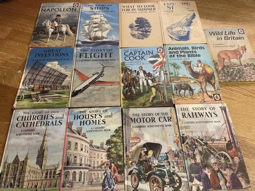 Very old ladybird - very,