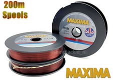 Maxima chameleon fishing - chameleon, line