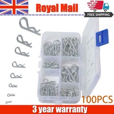 100X R Clips Spring Lynch