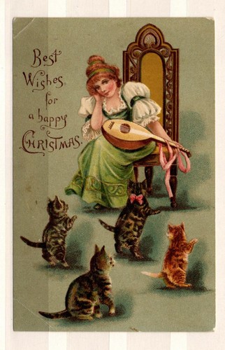 Stewart woolf 4 kittens - woolf.,