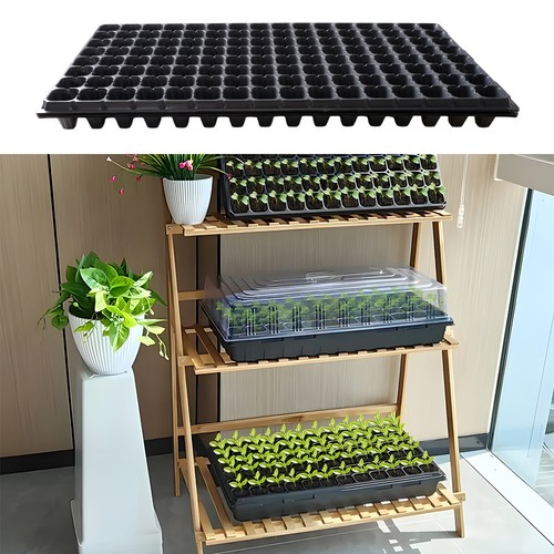 Deep root trainer trainers - deep,