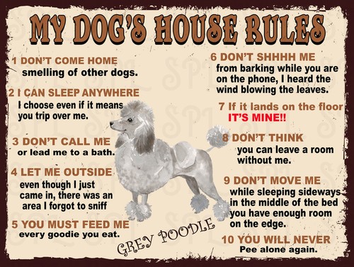Dog house rules - rules, grey
